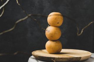 Librairie scientifique Seignalet : livres et ressources clés